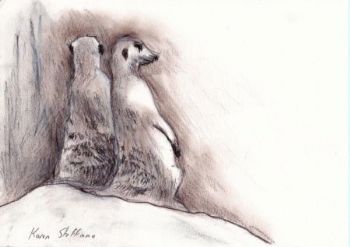 "Two Meerkats"