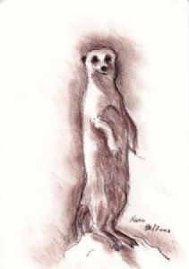 "Meerkat Sentry"
