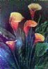"Arum Fire"