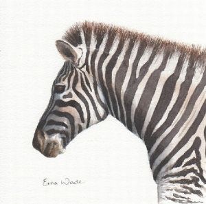 "Zebra II (portrait)"