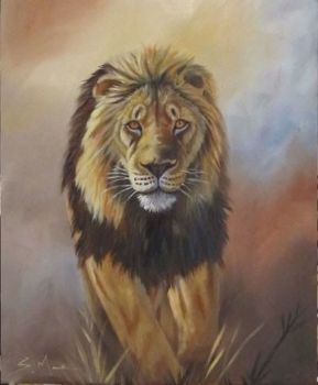 "Lion - Stalker"