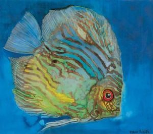 "Angel Fish"
