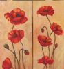 "Poppies Diptych"