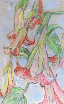"Pastel Still Life"