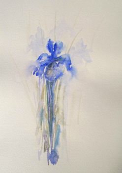 "Iris III"