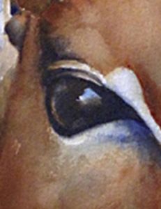 "Impala's Soul Detail"