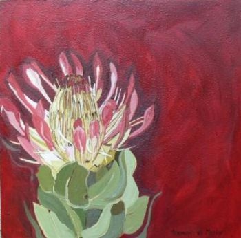 "Fynbos 65, Breeblaar Suikerbos"