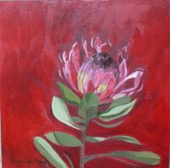 "Fynbos 67, Protea Eximia"