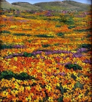 "Namaqualand"