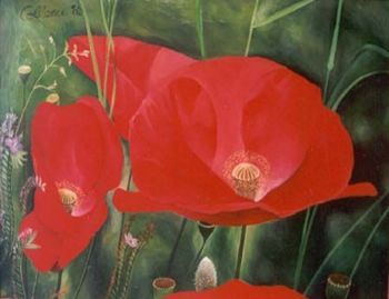 "Poppies"