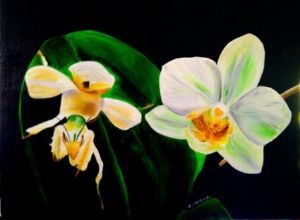 "White Orchid"