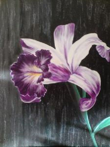 "Shimmering Orchid"