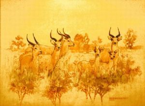 "Uganda Kob Antelope"