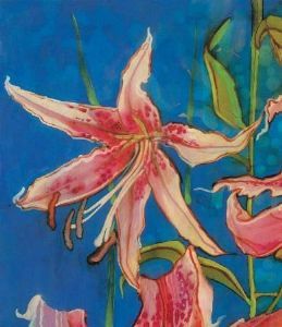 "Tiger Lily C"