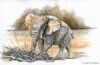 "Elephant Ambush"