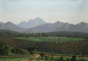 "Steyn Farm"