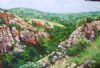 "Grootkloof Gorge, Magaliesberg"
