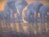"Thirsty Elephants"