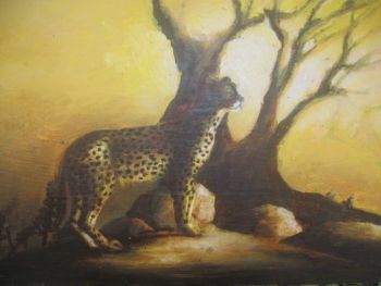 "Cheetah"