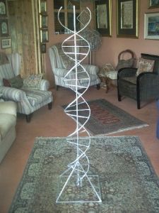 "DNA"