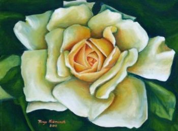 "Rose in White"