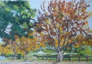 "Autumn in Sedgefield"