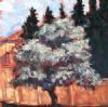 "The Walk 3 - Grey Tree - Cr Swart Rd II"