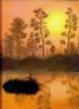 "Landscape01"