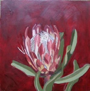 "Fynbos 73, Protea Susannae"