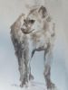 "Hyena"