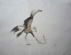 "Secretary Bird"