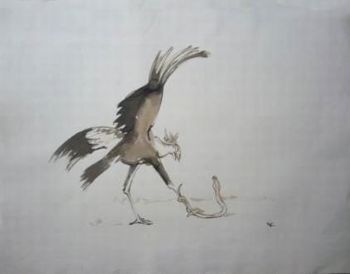 "Secretary Bird"