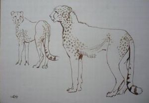 "Two Cheetahs"
