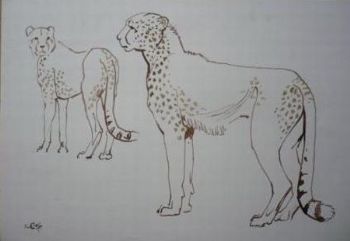 "Two Cheetahs"