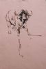 "Buffalo at the Waterhole"
