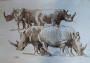 "Rhinoceros"