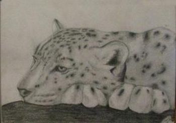 "Leopard"