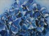 "Blue Hydrangea"