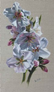 "Blossom I"