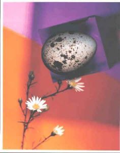 "Egg + flower"