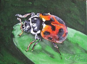 "Bugs-Ladybird 3"