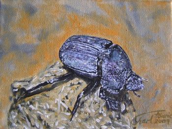 "Bugs - Beetle"