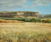 "Eastern Freestate Landscape"