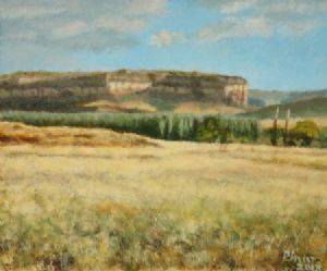 "Eastern Freestate Landscape"