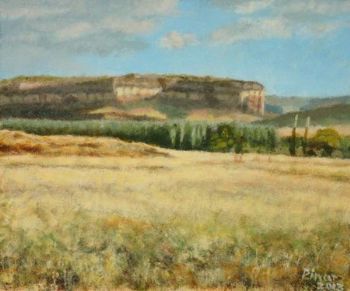 "Eastern Freestate Landscape"