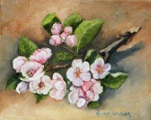 "Pink flowers"