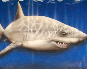 "great white"