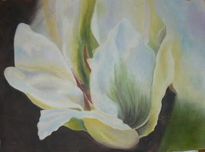 "Morning Lily"