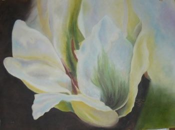 "Morning Lily"