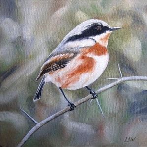 "Cape Batis"